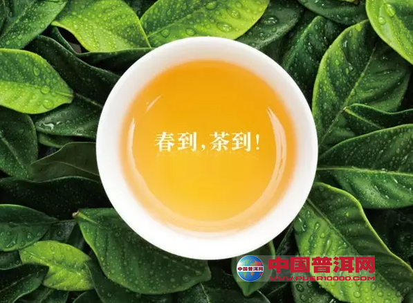 普洱茶