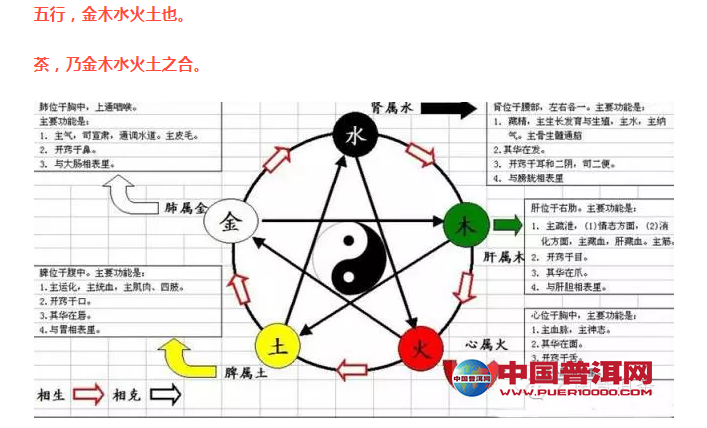 普洱茶