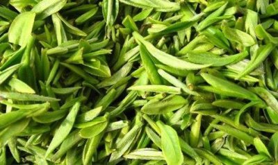 �²豣��ķ���