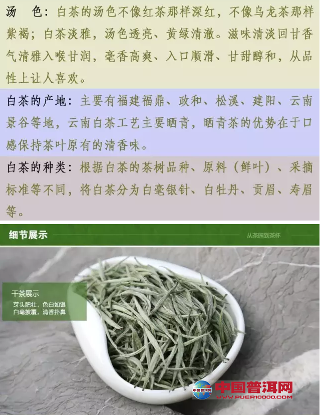 普洱茶