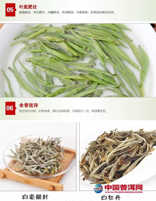 普洱茶