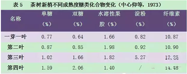 普洱茶