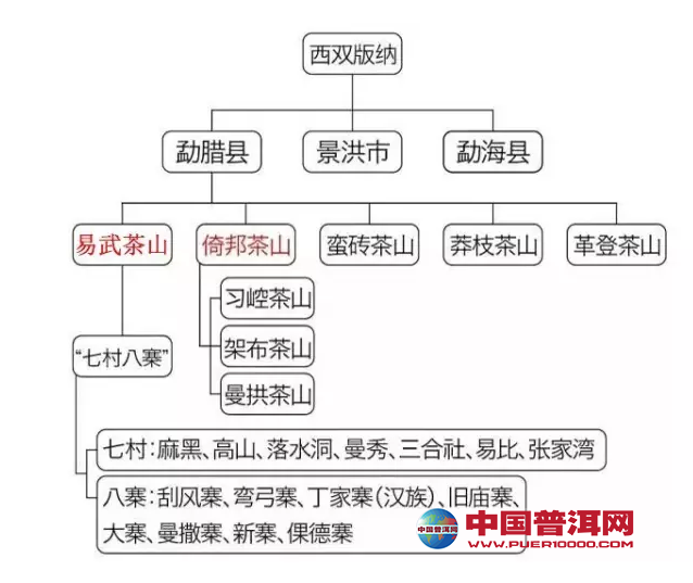 普洱茶