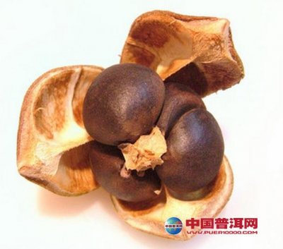 ���Ѳ��պ�Ĵ��ش�ʩ