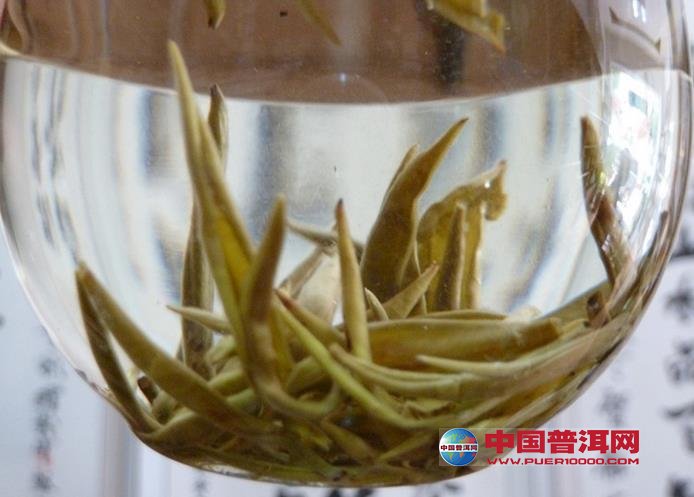 普洱茶