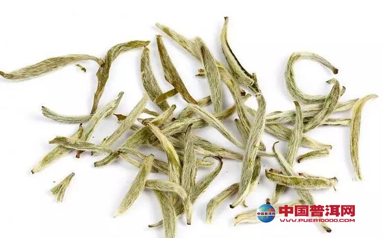 普洱茶