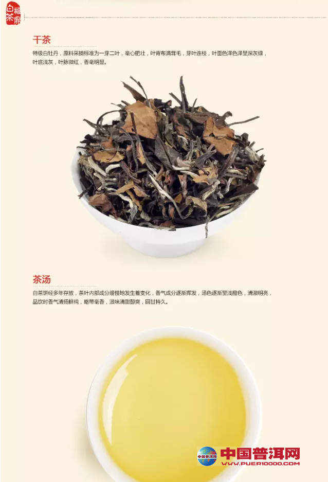 普洱茶