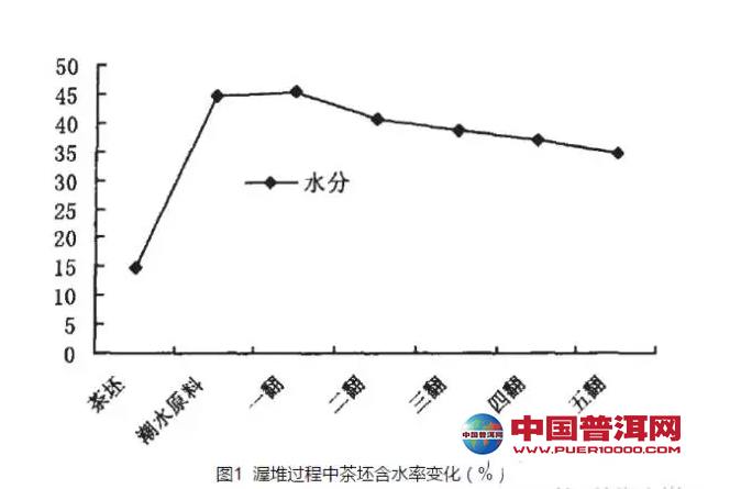 普洱茶