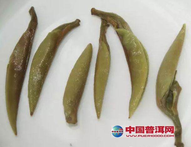 普洱茶