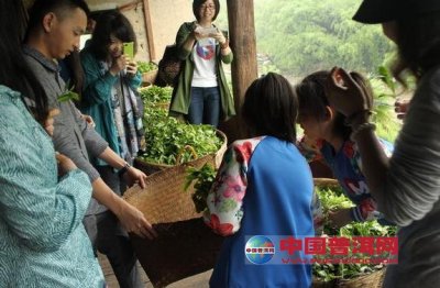 中国茶叶流通协会公布第二批2016年度全国茶旅推介榜