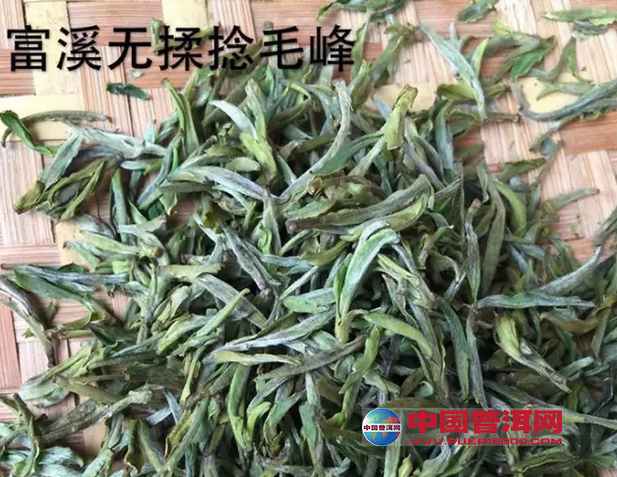 普洱茶