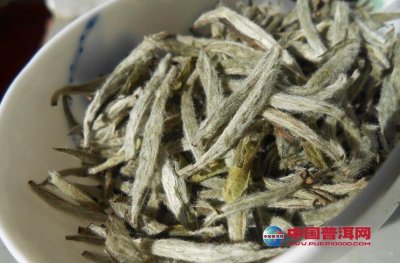 �賧�ﴢ��ײ��ע������