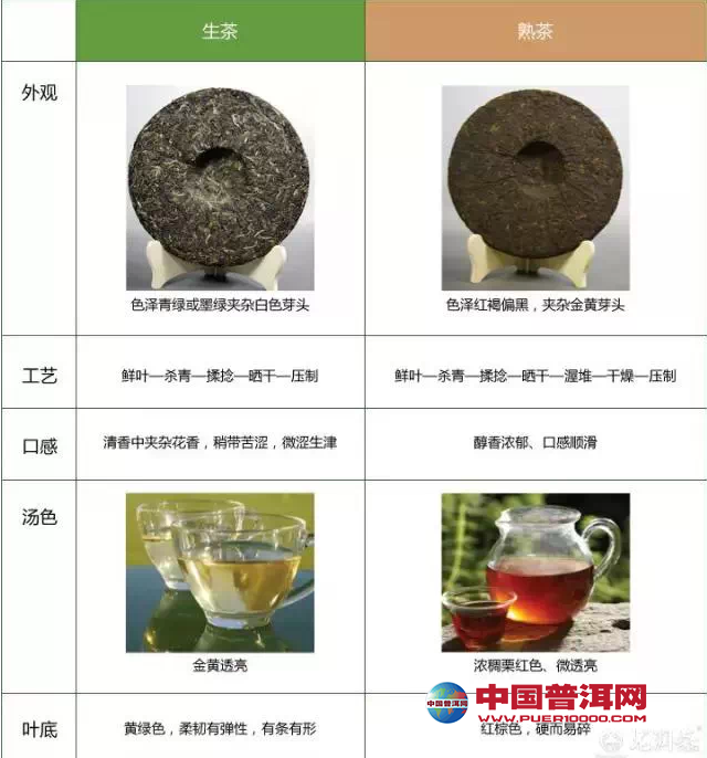 普洱茶