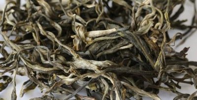 ��δ����꼾�ܳ���Ҷ