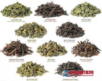 ��ͬ��Ҷ�����ڲ�ͬ