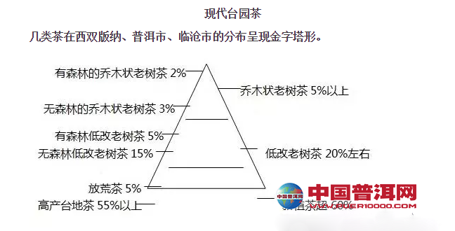 普洱茶