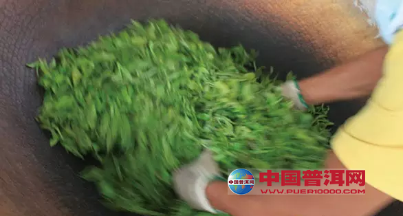 普洱茶