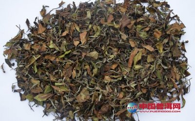 �����ײ�Ĵ��漼��