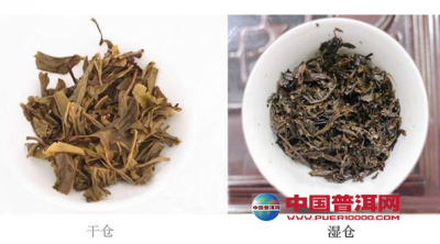 ���ڱ��ʪ���ն����һ�㾭��̸֮