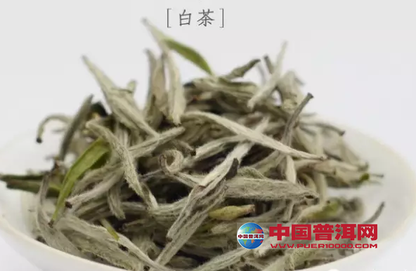 普洱茶