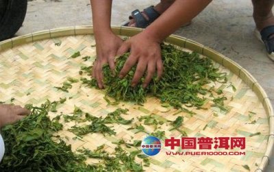 �޹�����Ҷ�����ؼ���