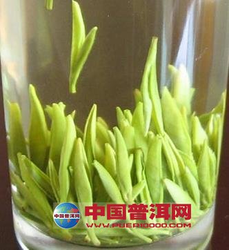 普洱茶