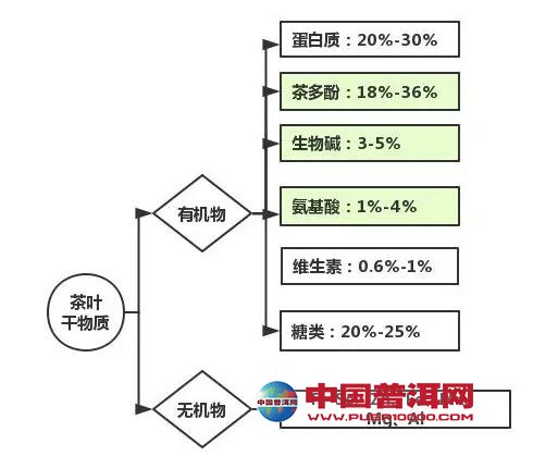 普洱茶