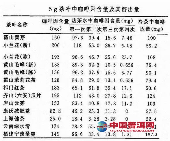 普洱茶