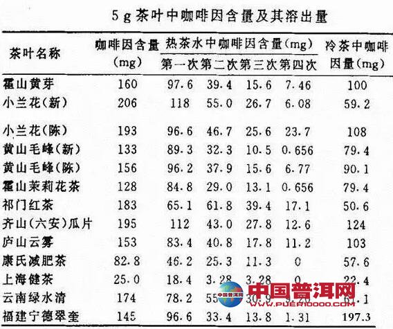 普洱茶