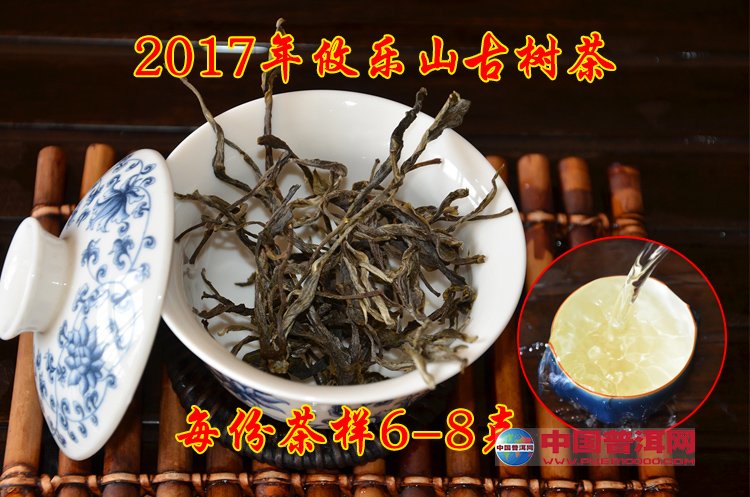 普洱茶