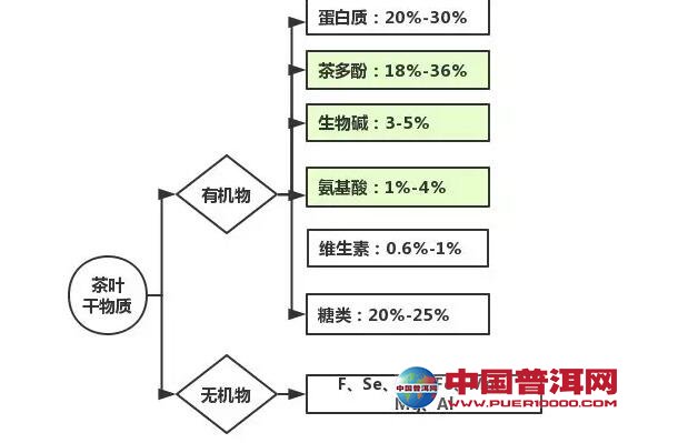 普洱茶