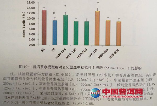 普洱茶