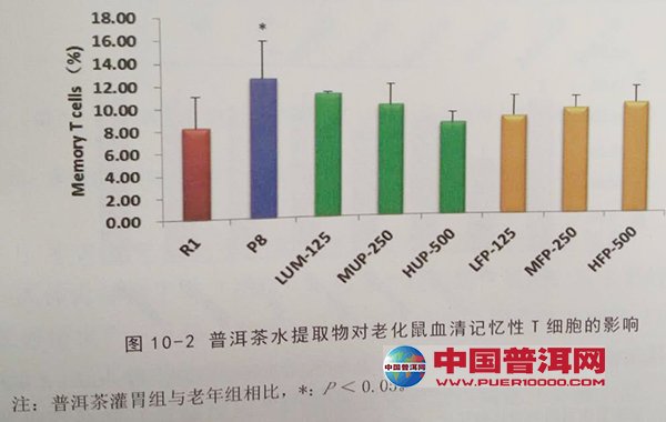 普洱茶