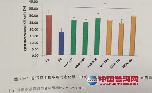 普洱茶