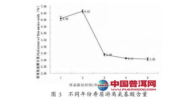 普洱茶