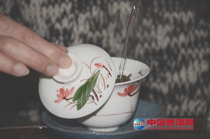 普洱茶