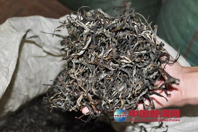 ������������ն��裿