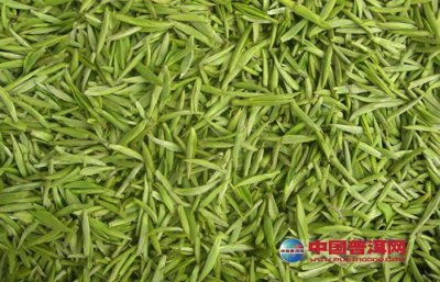 ���ʹ�ò�Ҷ�������ʼ�