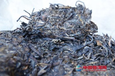 ʪ�ȳ������׷�ù