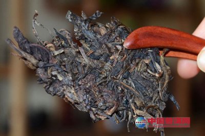 �����йز�Ҷ�Ĵ��ط���