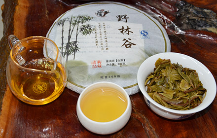 普洱茶