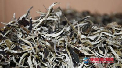 �ײ豣����Ҫע���ļ�������