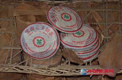 ��ҶӦ���������