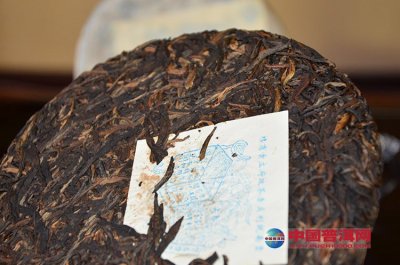 �ն���»�����������