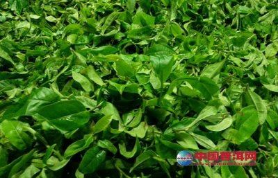 ���ֲ�Ҷ���ʶȵ�С�