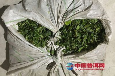 ��Ҷ֮���ʷ�