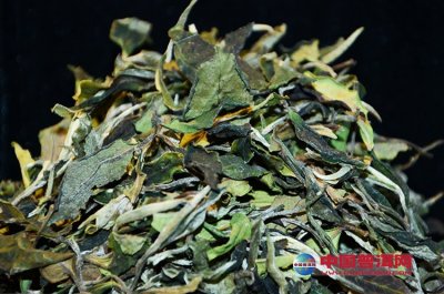 �����ײ�Ĵ���