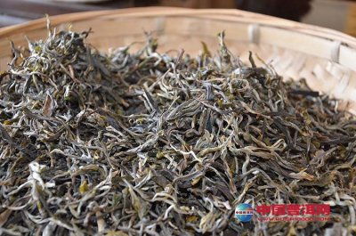 �Ҳ��Ƽ����ͥʽ��ɢ������