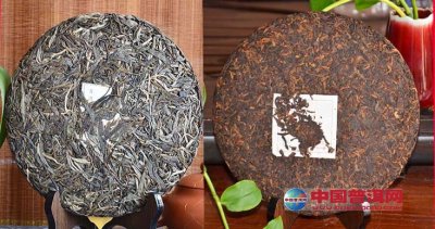 ��ʲô�����ն�������Ǳ�ʣ������ѡ�����裿