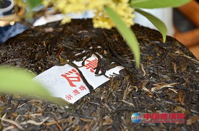 �ն����Ź����в��ӵı仯